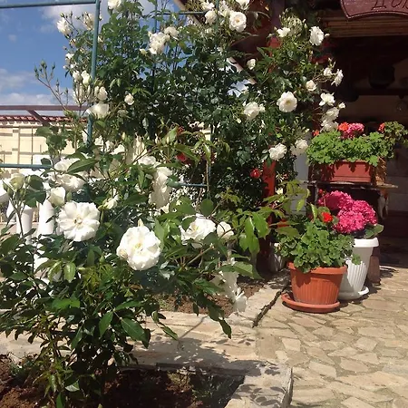 Rose Garden Gæstehus