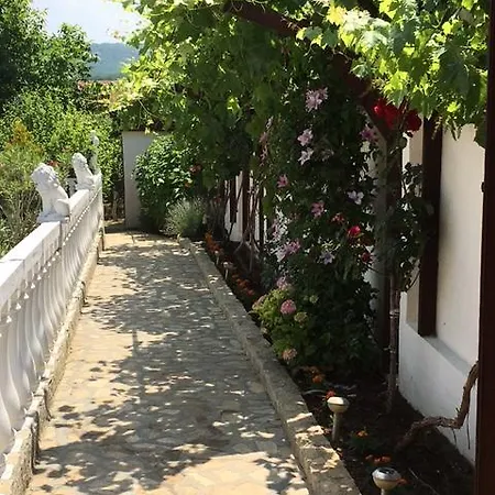 Rose Garden *